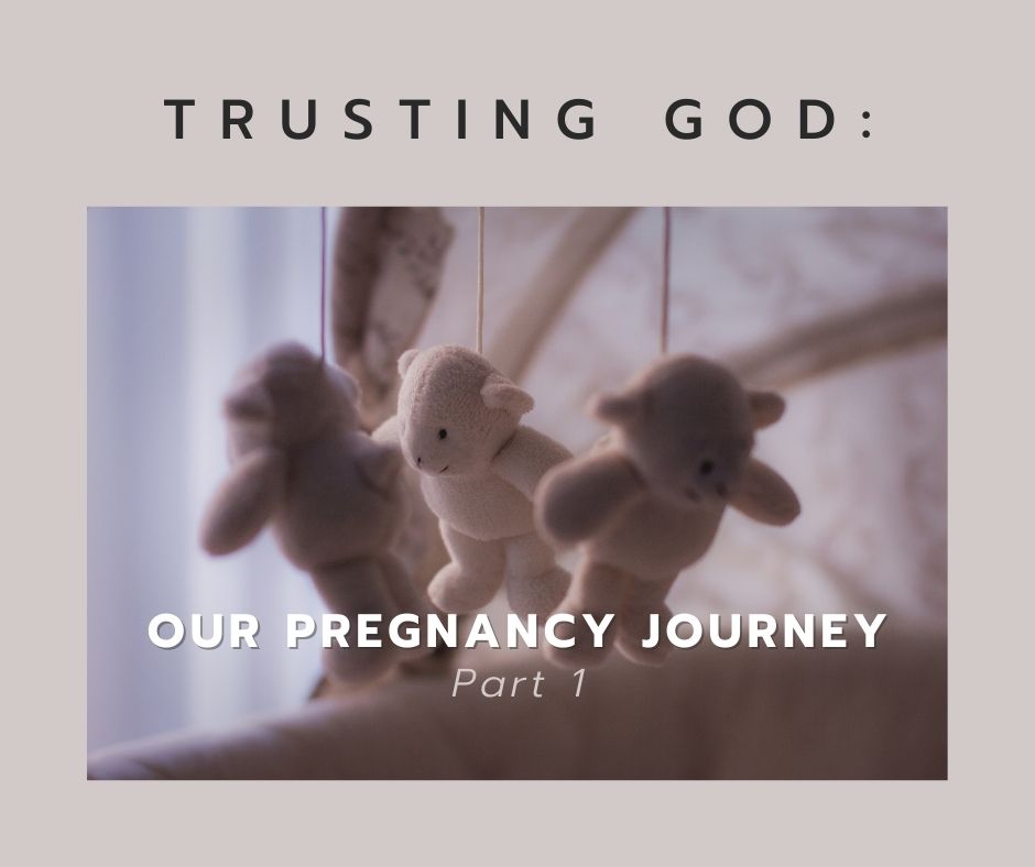 Trusting God with our Pregnancy Journey - Part 1 - Teddy bear mobile hanging over crib
